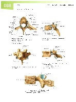 Sobotta  Atlas of Human Anatomy  Trunk, Viscera,Lower Limb Volume2 2006, page 15